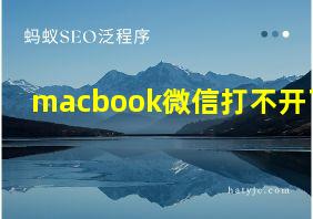 macbook微信打不开了