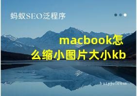 macbook怎么缩小图片大小kb