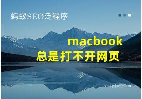 macbook总是打不开网页