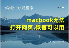 macbook无法打开网页,微信可以用