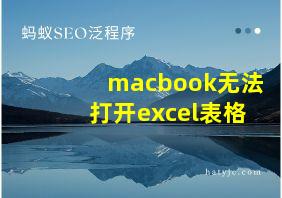 macbook无法打开excel表格