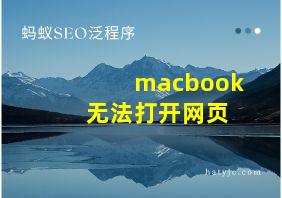 macbook 无法打开网页