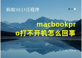 macbookpro打不开机怎么回事