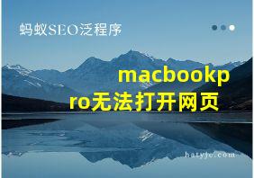 macbookpro无法打开网页