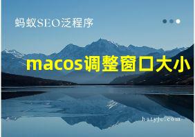 macos调整窗口大小