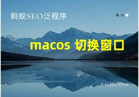 macos 切换窗口