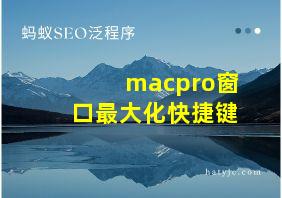 macpro窗口最大化快捷键