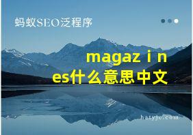 magazⅰnes什么意思中文