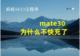 mate30为什么不快充了