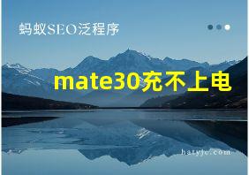 mate30充不上电