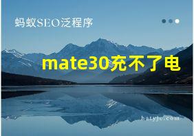 mate30充不了电