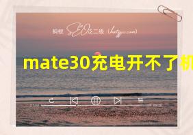 mate30充电开不了机