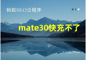 mate30快充不了