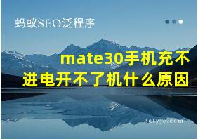 mate30手机充不进电开不了机什么原因