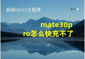 mate30pro怎么快充不了