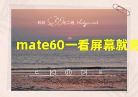 mate60一看屏幕就亮