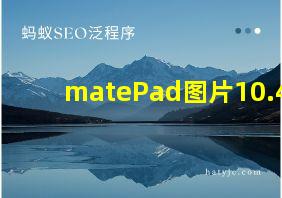 matePad图片10.4