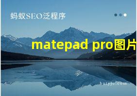 matepad pro图片