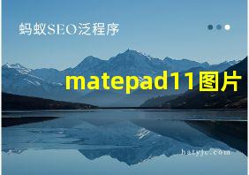 matepad11图片