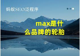 max是什么品牌的轮胎