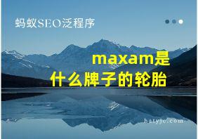 maxam是什么牌子的轮胎