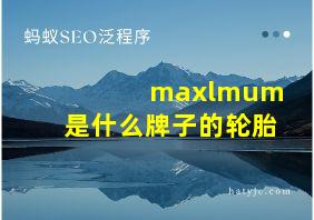 maxlmum是什么牌子的轮胎