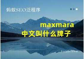 maxmara中文叫什么牌子