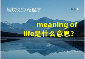 meaning of life是什么意思?