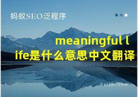 meaningful life是什么意思中文翻译