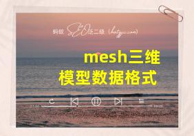 mesh三维模型数据格式