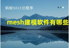 mesh建模软件有哪些