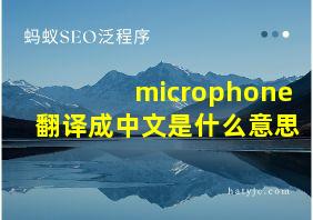 microphone翻译成中文是什么意思