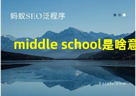 middle school是啥意思