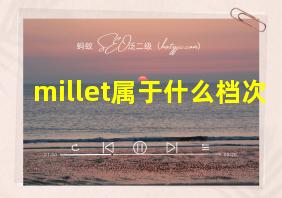 millet属于什么档次