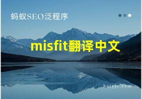 misfit翻译中文