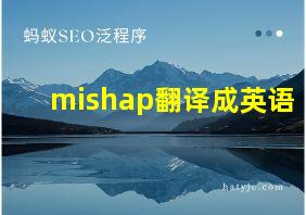 mishap翻译成英语