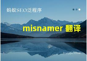 misnamer 翻译