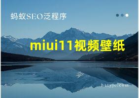 miui11视频壁纸