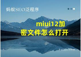 miui12加密文件怎么打开