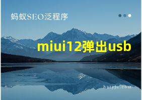 miui12弹出usb