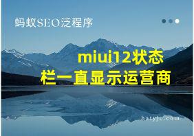 miui12状态栏一直显示运营商