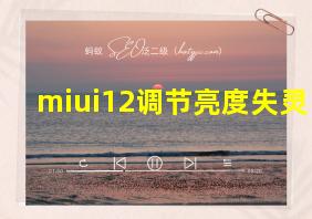 miui12调节亮度失灵