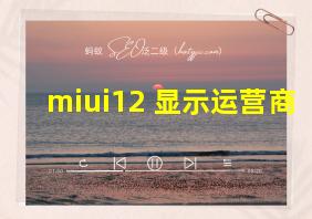 miui12 显示运营商