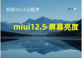 miui12.5 屏幕亮度