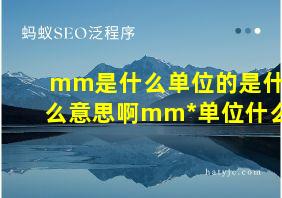 mm是什么单位的是什么意思啊mm*单位什么