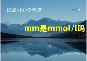 mm是mmol/l吗