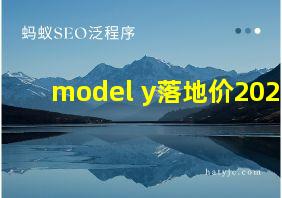 model y落地价2021