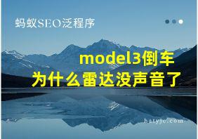 model3倒车为什么雷达没声音了