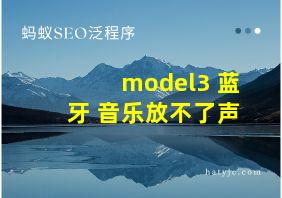 model3 蓝牙 音乐放不了声