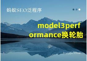 model3performance换轮胎